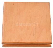 DN "Vakokért és gyengélátókért - Dr. Thész László emlékére" egyoldalas Br emlékérem, fa to...