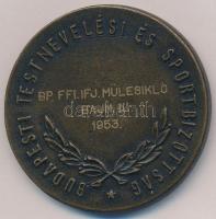 ~1953. "Budapesti Testnevelési és Sportbizottság" kétoldalas, síelőt ábrázoló Br díjérem, ...