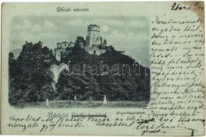 1899 Zboró, Zborov; várrom. Divald / castle ruins (Rb)