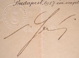 1917 Kinevezés Serényi Béla kereskedelemügyi miniszter saját kezű aláírásával
