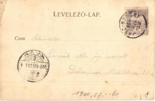 1900 Jászberény, Artézi gőz és kádfürdő. Kiadja Brünauer (lyuk / hole)