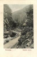 1910 Petrozsény, Petrosani; Szurduki szoros / Pasul Surduc / mountain pass (ázott sarok / wet corner)