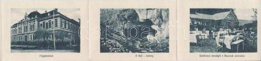 1909 Petrozsény, Petrosani; Kaszinó épülete. Leporellolap belül vasútállomásokkal és Gambrinus vendé...