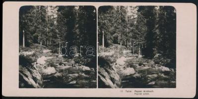 cca 1900 Tátra, a Poprád-patak, Neue Photographische Gesellschaft sztereofotó, 9×18 cm /  cca 1900 Tatra Mountains, the Poprád river, Neue Photographische Gesellschaft stereo photograph, 9×18 cm