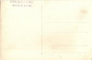 Stájerlak, Steierdorf (Anina); nyaralótelep / Hohenkurort / villa, holiday resort. photo