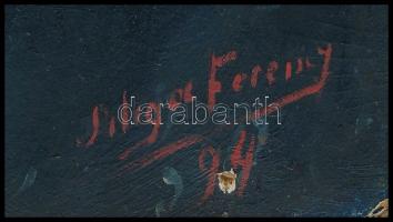 XIX, sz eleje Siliga Ferenc (1881-?) népszerű színpadi író: gróf Festetics Andorné Dömjén Rózsa szín...