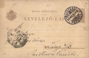 1897 Budapest XIV. Városliget, Ezredéves Országos Kiállítás, főbejáratok, barna 2 Kr. Ga s: Morelli,...