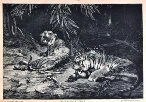 1879-1880 The Boy's Own Paper. II. évf. No.38-89. London, Leisure Hour. Angol nyelven. Rengeteg...