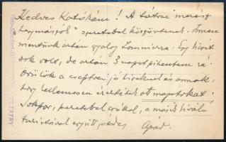 cca 1920 Márai Sándor édesapja dr. nemes Grosschmid Géza (1872-1934) királyi közjegyző, a kassai jog...