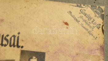 1920 A m. kir. Ludovika Akadémiának 1920. augusztus 20-án a nemzeti hadseregbe felavatott III. évfol...