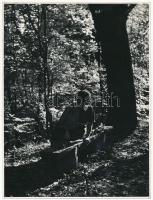 cca 1955 Korschelt Miklós (1900-1982): Életképek, pecséttel jelzett vintage fotó, 3 db, sérülésekkel...