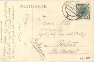 1906 Zell am See, Steinernes Meer. Verlag A. Fellerer / floral art postcard with initials, hikers (E...