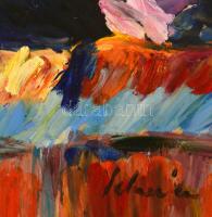 Schéner Mihály (1923-2009): Mediterrán part. Olaj, farost, jelzett, 50×70 cm