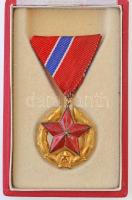 1951. Közbiztonsági Érem arany fokozata a karhatalom tagjai részére, aranyozott Br kitüntetés mellszalagon, dísztokban T:2