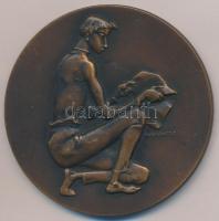 Madarassy Walter (1909-1994) 1969. "Magyar Állami Földtani Intézet" Br emlékérem (70mm) T:...