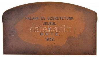 Berán Lajos (1882-1943) 1932. "Budapesti (Budai) Torna Egylet 1869-1829" Br emlékplakett &...