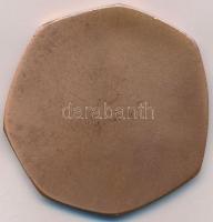 Kovács Dezső (1921-) 1977. "Magyar Testnevelési Főiskola" Br emlékérem dísztokban (70mm) T...