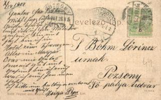 Magyaróvár, Mosonmagyaróvár; Vármegyeház, kerékpáros fiú. Kiadja Pingitzer Ignác 2168. (EK)