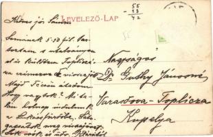 Zirc, Sörös tó. W. L. 2802. (fa)