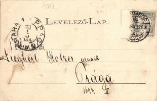 1900 Körmend, látkép, malom, polgári iskola. Art Nouveau, floral (Rb)