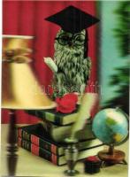 5 db modern dimenziós (3D) motívumos képeslap / 5 modern dimensional 3D motive postcards