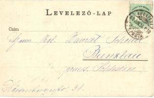 1893 (Vorläufer!!!) Budapest, Lánchíd, Királyi vár, gőzhajók, Gellérthegy, Deák Ferenc szobor. Kiadj...