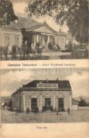 5 db RÉGI magyar és történelmi magyar városképes lap; Szeged, Tolcsva, Devecser, Munkács, Ada Kaleh ...