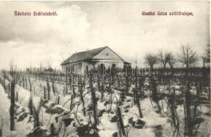 1913 Erdőtelek, Csathó Géza szőlőtelepe és villája télen