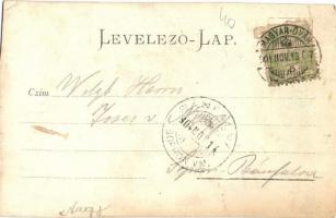 1904 Magyaróvár, Mosonmagyaróvár; utcakép, Holzhammer-ház, Puchtinger József üzlete. photo (vágott /...