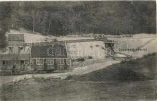1914 Farkasmező, Lupoaia; Egregyvölgyi Kőszénbánya Társulat bányája, csúsztató részlet / mine