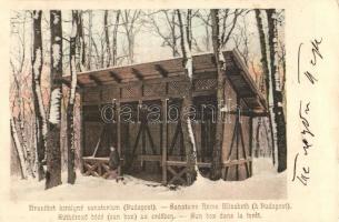 1902 Budapest XII. Erzsébet királyné szanatórium, Sütkérező bódé (sun box) az erdőben télen (kis szakadás / small tear)