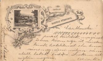 1896 (Vorläufer!) Bártfa-fürdő, Bardejovské Kúpele, Bardiov; Art Nouveau, floral greeting postcard (kopott élek / worn edges)