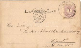 1896 (Vorläufer!) Bártfa-fürdő, Bardejovské Kúpele, Bardiov; Art Nouveau, floral greeting postcard (...