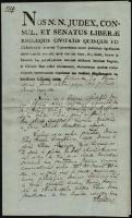 1817 Pécs, mindszenti Petrovszky-család birtokügyében íródott okirat, Pécs Város szárazpecsétjével, aláírással, latin nyelven, vízjeles papíron, 2 sztl. lev.