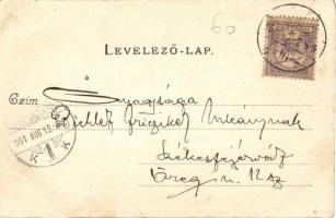 1901 Budapest X. Kőbánya, Jászberényi út, Hotel Sohra szálloda és kávéház, vendéglő, étterem. Divald...