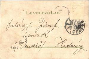 1902 Hőgyész, Hőgyész vidéke, Apponyi kastély, út. Kiadja Fleischmann Jónás, fotografálta Moussong (...