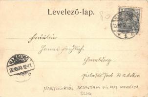 1900 Nagykürtös, Velky Krtís; Sebastiani kastély. Kiadja Wertheimer Zs. / castle (EK)