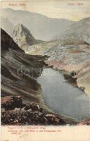 1908 Tátra, Tatry; Fagyott-tó, Poduplaski-völgy / lake, valley