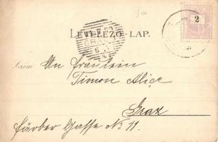 1899 Csízfürdő, Csíz, Kúpele Cíz; Nedeczky telep, villa, vendéglő, étterem, fürdőház és lakházak, pa...