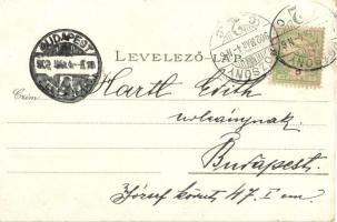 1902 Pozsony, Pressburg, Bratislava; látkép, vár. Ottmar Zieher Heliocolorkarte / general view, cast...