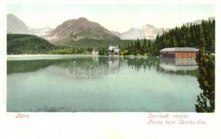 Tátra, Tatry; Csorba tó, menház. Cattarino S. kiadása 171. / Strbské Pleso, chata / lake, rest house, hut