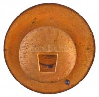 1938-1945. "Volksbund der Deutschen in Ungarn (Magyarországi Németek Népi Szövetsége)" zom...