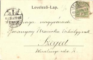 1905 Belényes, Beius; Református templom. Kiadja Wagner Vilmos fényképész / Calvinist church (EK)