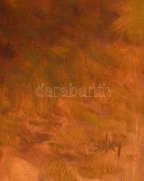 Csáky Lajos (1950-): Alkony. Olaj, falemez, jelzett, keretben, 50×70 cm