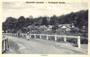 Szolyva, Svalova, Svaliava, Szvaljava; Mineralni pramen / Ásványvíz forrás. Bodek és Morvay kiadása / mineral water spring (EK)