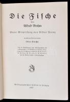 Brehms Tierleben.  4. Auflage 1-12 B. (6,7,10, hiány)  herausgegebenen von Prof. Dr. Otto von Strass...