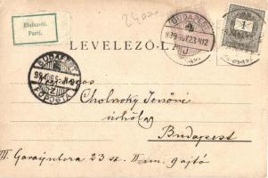 1899 Palánka, Német-Palánka, Palanka; Római katolikus templom, Fő utca, Izraelita templom, zsinagóga...