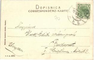 1908 Kastav, Castua; Glavna ulica / Fő utca, üzlet. Ljudevit Jelusic kiadása / main street, shop (EB...