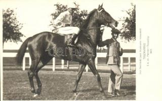 1927 Árpádhalom, Tiszavirág nevű ló Gróf Berchtold Lipót (aki a lovat vezeti) árpádhalmi méneséből (EK)