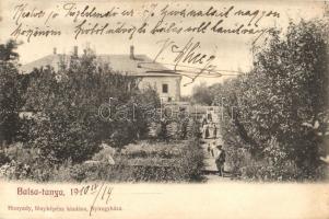 1910 Balsa tanya, kúria, kastély kertje. Hunyady fényképész kiadása (EK)